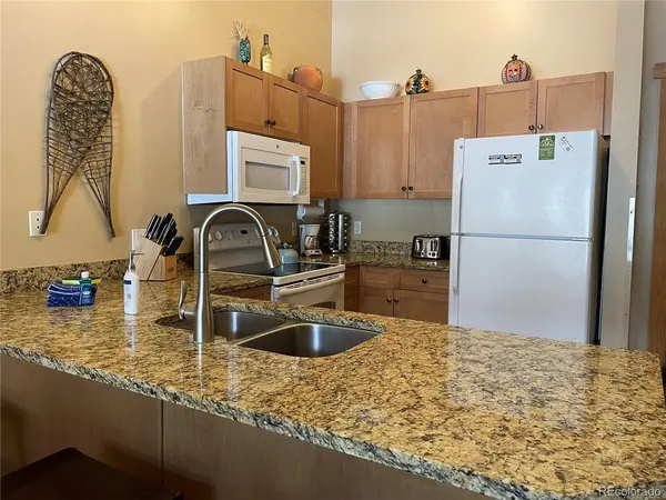 105 Wheeler #409, Frisco, CO 80443
