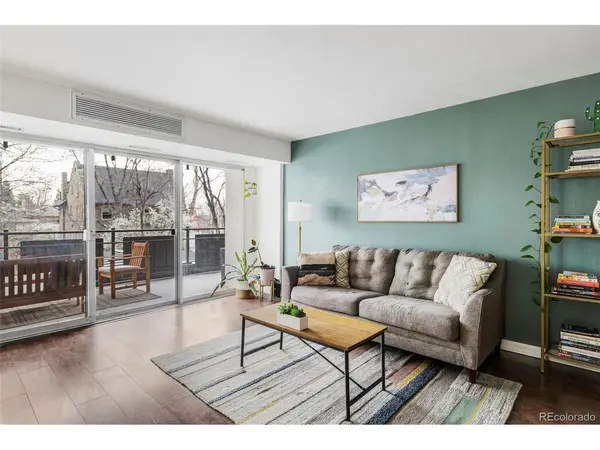669 N Washington #203, Denver, CO 80203