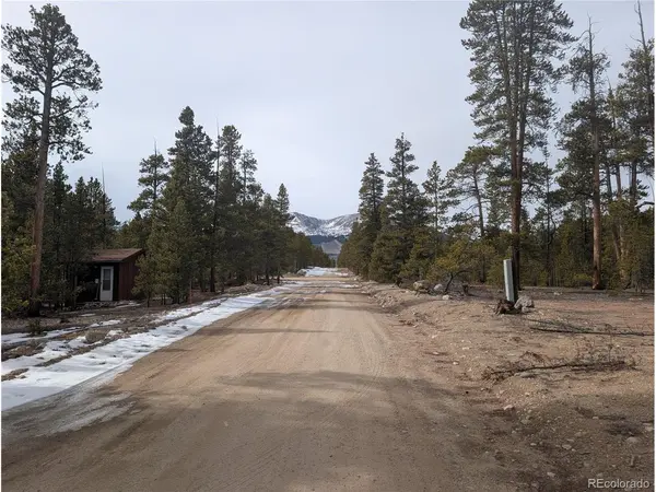 179 Cedar, Twin Lakes, CO 80461