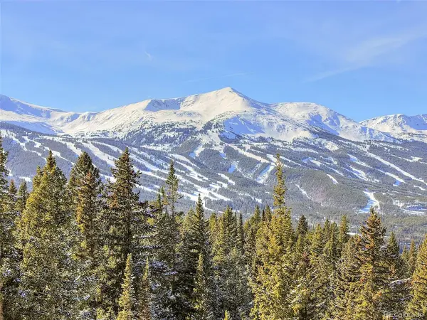 3362 Boreas Pass, Breckenridge, CO 80424