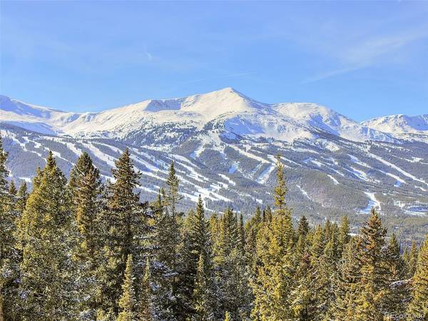 3362 Boreas Pass, Breckenridge, CO 80424
