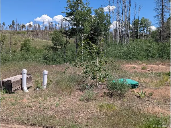 954 Forbes Park, Fort Garland, CO 81133