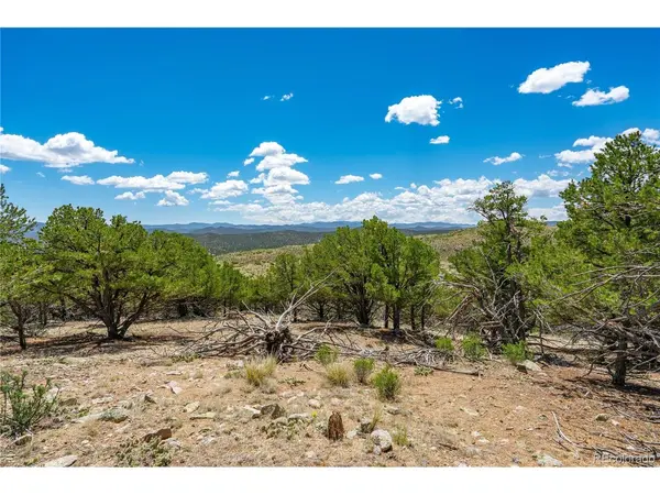 896 Shannon, Cotopaxi, CO 81223