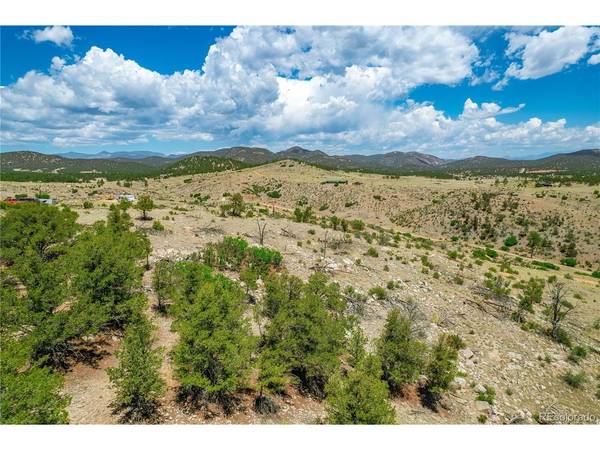 896 Shannon, Cotopaxi, CO 81223