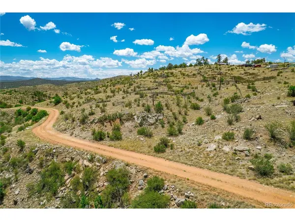 896 Shannon, Cotopaxi, CO 81223