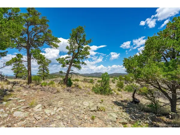 896 Shannon, Cotopaxi, CO 81223