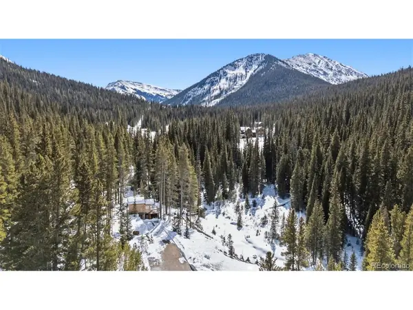 5080 Montezuma, Montezuma, CO 80435