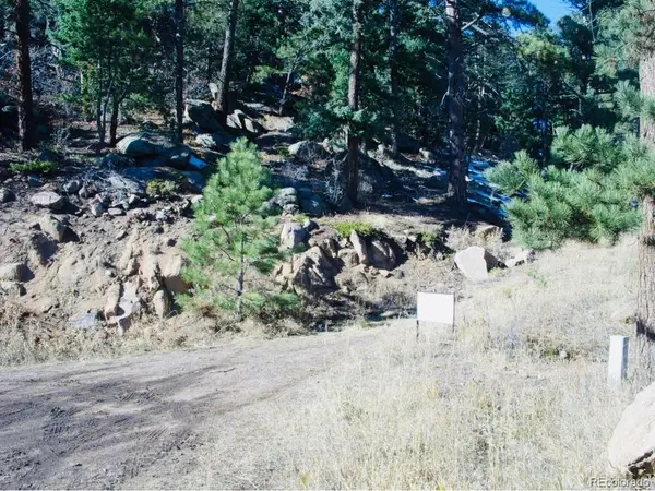 22076 High Springs, Morrison, CO 80465