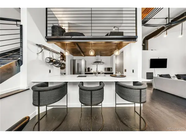 1090 Cherokee #303, Denver, CO 80204