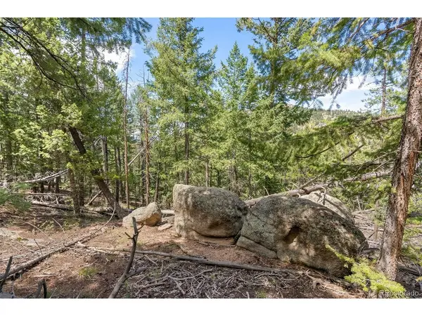 Lost Cabin Trail, Evergreen, CO 80439