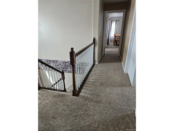 13490 Halleluiah, Elbert, CO 80106