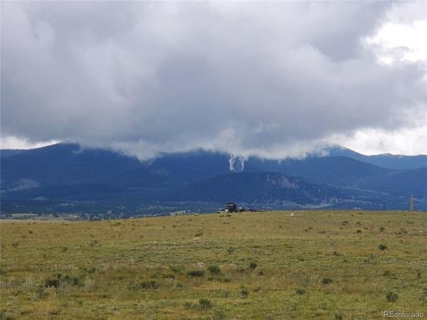 Elk, Hartsel, CO 80449