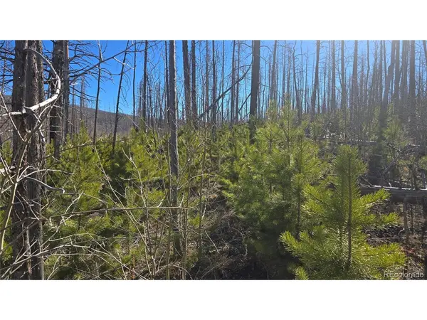 1470 Von Heyl, Fort Garland, CO 81133