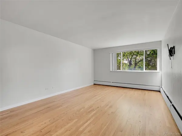 1056 N Marion #202, Denver, CO 80218