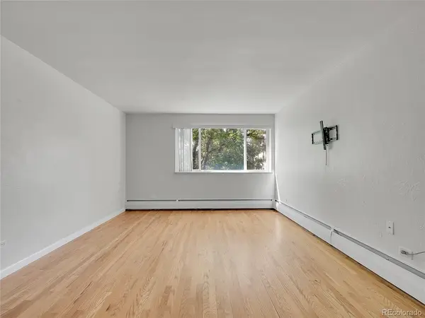 1056 N Marion #202, Denver, CO 80218