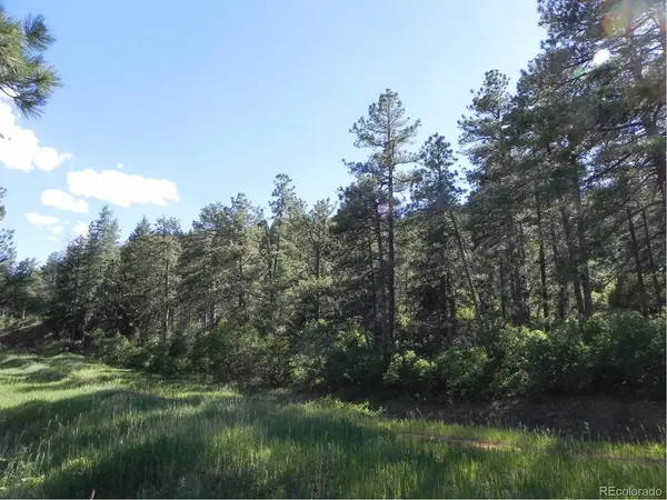 8117 Acoma, Larkspur, CO 80118