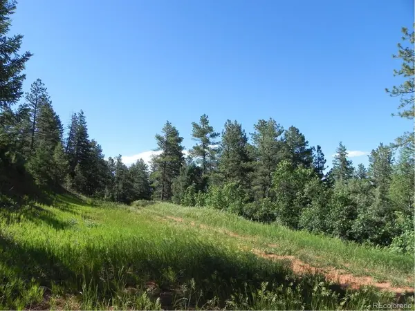 8117 Acoma, Larkspur, CO 80118