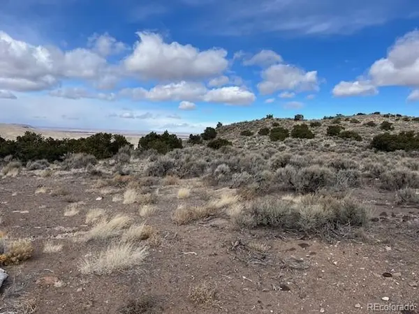TBD 40 Acres, San Luis, CO 81152