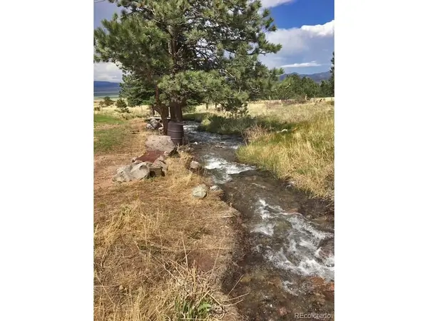 62 Rubel, Westcliffe, CO 81252