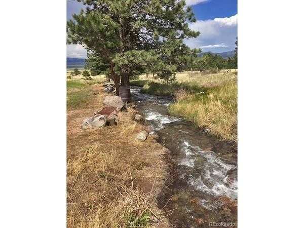 62 Rubel, Westcliffe, CO 81252