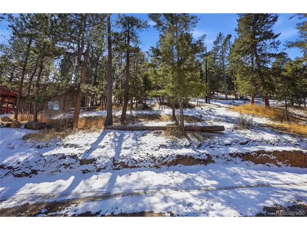 3025 Yucca, Evergreen, CO 80439