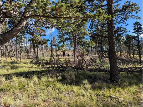 2127 Sigler, Fort Garland, CO 81133