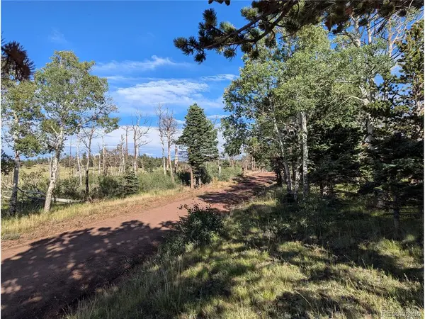 2127 Sigler, Fort Garland, CO 81133