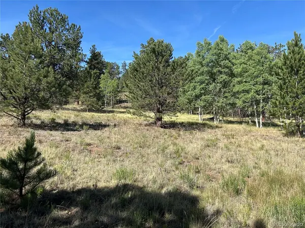 519 Hayhook, Hartsel, CO 80449