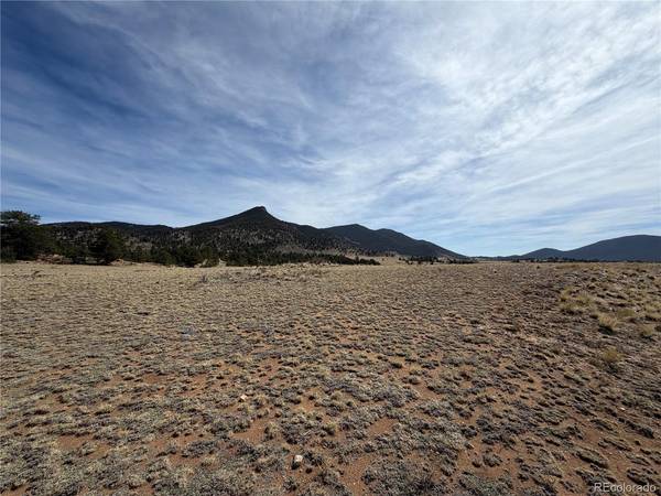 74 Craig, Hartsel, CO 80449