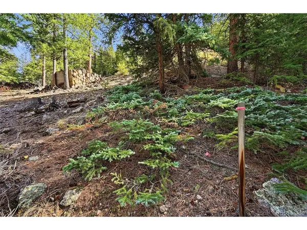 2238 Stanley, Idaho Springs, CO 80452