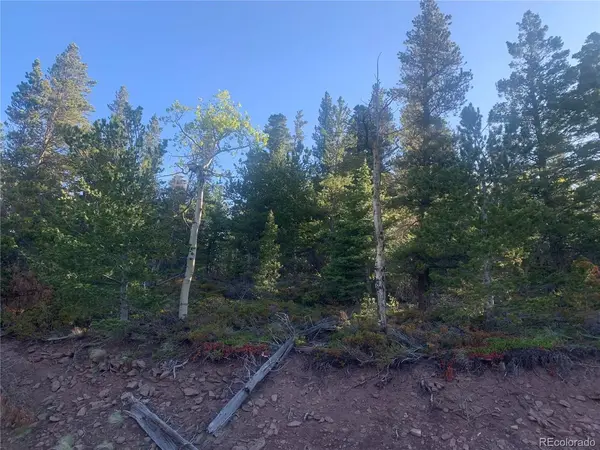 3207 VAUGHN, Fort Garland, CO 81133