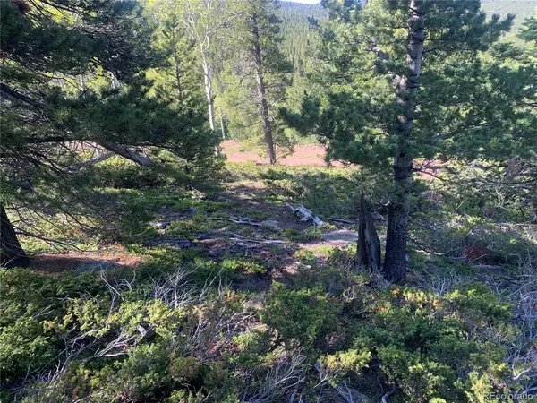 3207 VAUGHN, Fort Garland, CO 81133