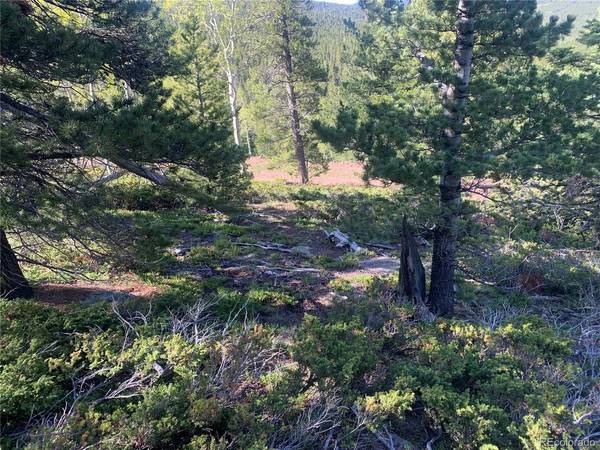 3207 VAUGHN, Fort Garland, CO 81133