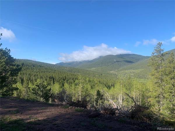 3207 VAUGHN, Fort Garland, CO 81133