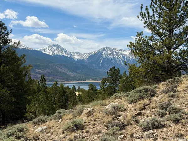 98 Northview, Twin Lakes, CO 81251