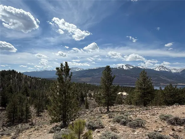 98 Northview, Twin Lakes, CO 81251