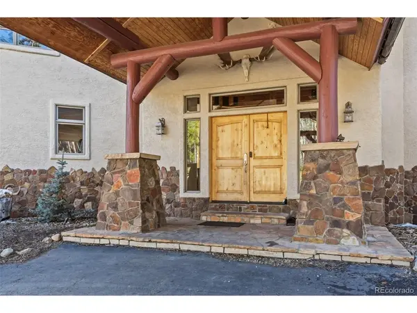 300 Buckeye Creek, Leadville, CO 80461
