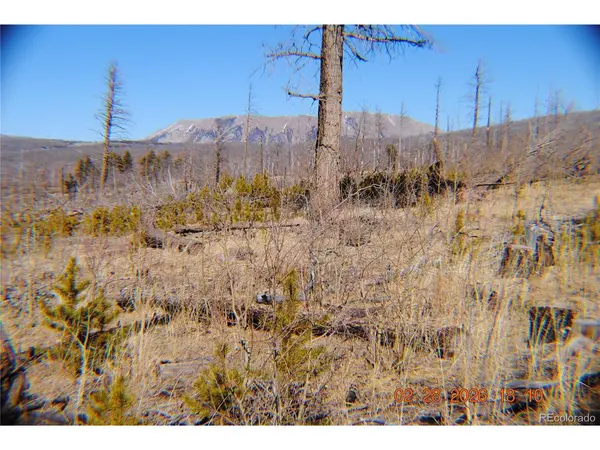 1043 saul, Fort Garland, CO 81133