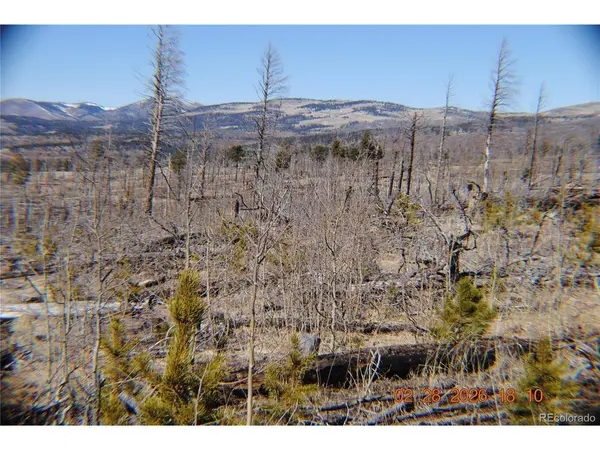 1043 saul, Fort Garland, CO 81133
