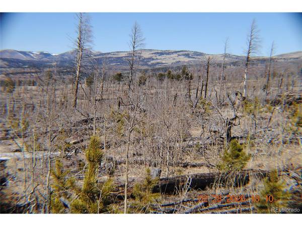 1043 saul, Fort Garland, CO 81133