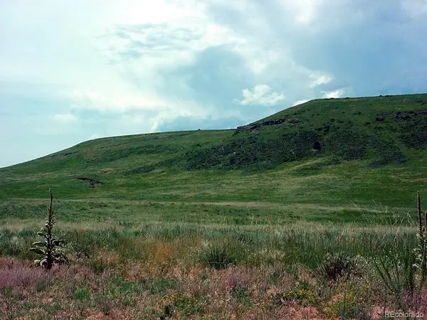 2 Twin Bluffs, Larkspur, CO 80118