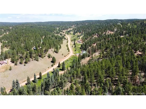 1570 Pathfinder, Florissant, CO 80816
