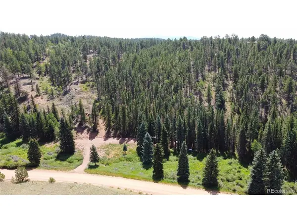 1570 Pathfinder, Florissant, CO 80816