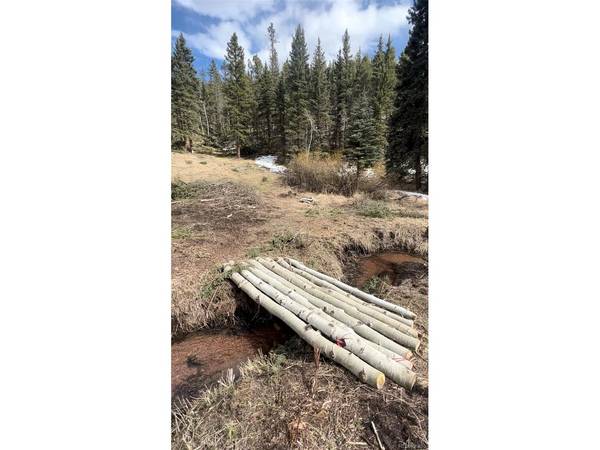 1570 Pathfinder, Florissant, CO 80816