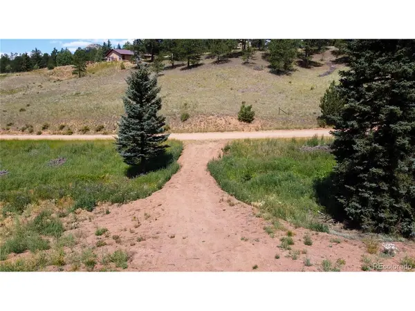 1570 Pathfinder, Florissant, CO 80816