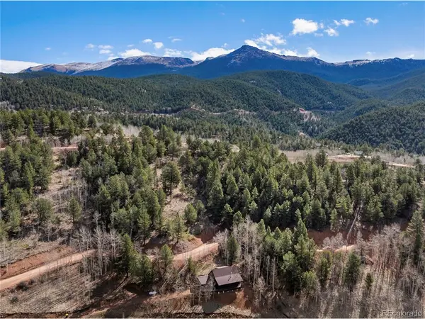 60 Beaver Pond, Divide, CO 80814
