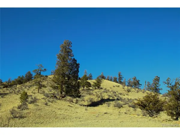 Address not disclosed, Hartsel, CO 80449