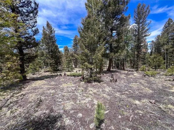1980 Pitchfork, Hartsel, CO 80449