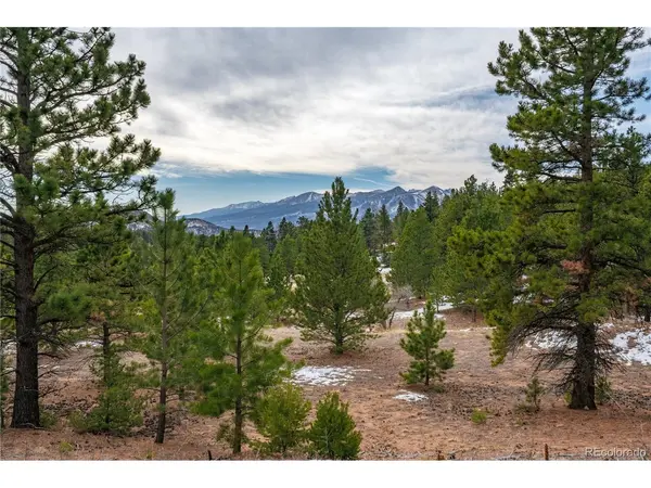 2 Spruce Mountain, Cotopaxi, CO 81223