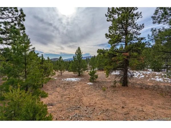 2 Spruce Mountain, Cotopaxi, CO 81223